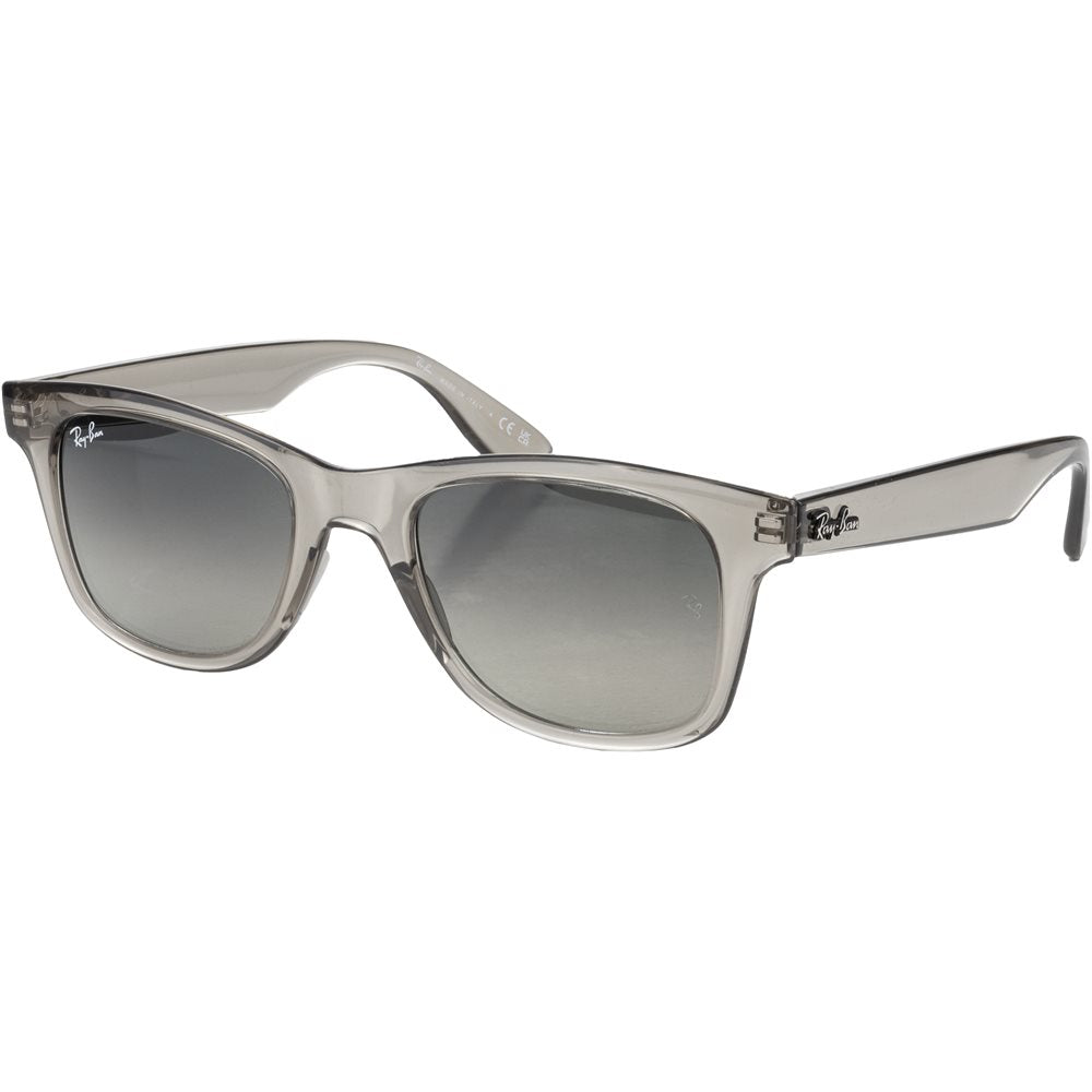 RB4640 Sunglasses