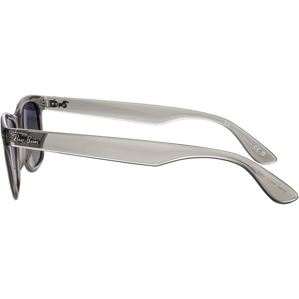 RB4640 Sunglasses